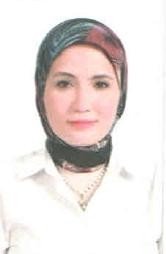 Abeer Maher Attia Hassan